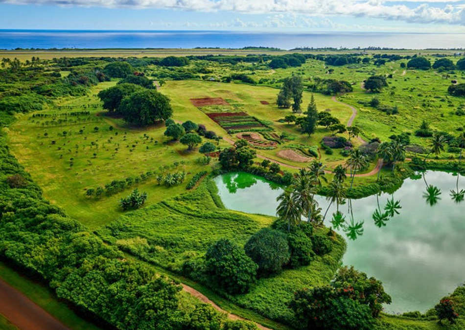 Forbes  |  This Luxurious Kaua‘i Resort Is Working To Preserve The Biodiversity Of Hawai‘i